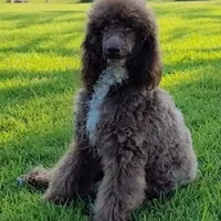 processed/c09281d4-0c1a-4528-800b-8f17df0df529/facility/c77a3fca-1179-482e-9129-88d1d46fd41d