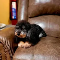 processed/c09281d4-0c1a-4528-800b-8f17df0df529/facility/d1a7b117-ed1c-4a81-9694-d55c9ebffc94