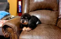 processed/c09281d4-0c1a-4528-800b-8f17df0df529/facility/d1a7b117-ed1c-4a81-9694-d55c9ebffc94