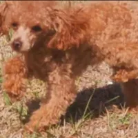 processed/c09281d4-0c1a-4528-800b-8f17df0df529/facility/dbd699b2-66a3-43fa-9660-1f5fdd7e60f0