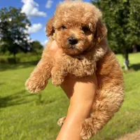 processed/c09281d4-0c1a-4528-800b-8f17df0df529/facility/f4167a7e-42db-47c1-b419-669792aab6fb