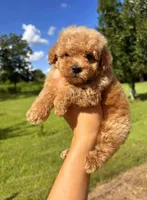 processed/c09281d4-0c1a-4528-800b-8f17df0df529/facility/f4167a7e-42db-47c1-b419-669792aab6fb