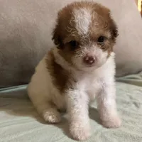 processed/c09281d4-0c1a-4528-800b-8f17df0df529/facility/f7925b82-dbc2-4cce-8cd0-ba640fd44a57