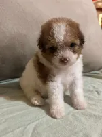 processed/c09281d4-0c1a-4528-800b-8f17df0df529/facility/f7925b82-dbc2-4cce-8cd0-ba640fd44a57