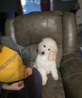 processed/c09281d4-0c1a-4528-800b-8f17df0df529/listing/514dfbbf-0de5-4352-989a-9065a9863d36/d7f8c623-e86e-4ba0-8721-a62bd473a12f