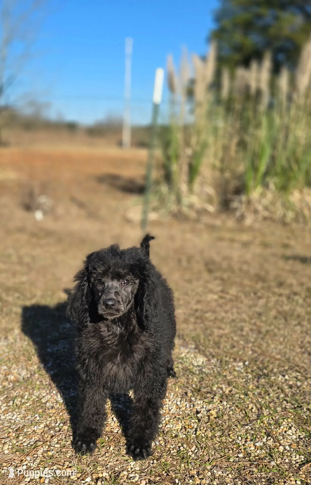 processed/c09281d4-0c1a-4528-800b-8f17df0df529/listing/54ca033d-c7ea-4027-b2eb-f85ca4669064/e6186b26-9710-471f-b742-2402ed02340b