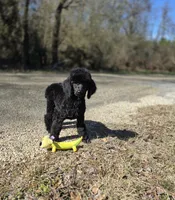 processed/c09281d4-0c1a-4528-800b-8f17df0df529/listing/697d267e-d897-4ae6-91c0-9e973dfd15b3/3f2d59c3-192c-4607-8d6d-adde88ee594c