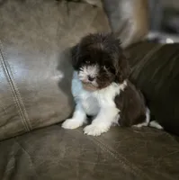 processed/c09281d4-0c1a-4528-800b-8f17df0df529/listing/c8a55647-7e97-49f8-afb1-ea8f887d76df/75d89c92-3d7b-47cd-a349-2a2596260be7