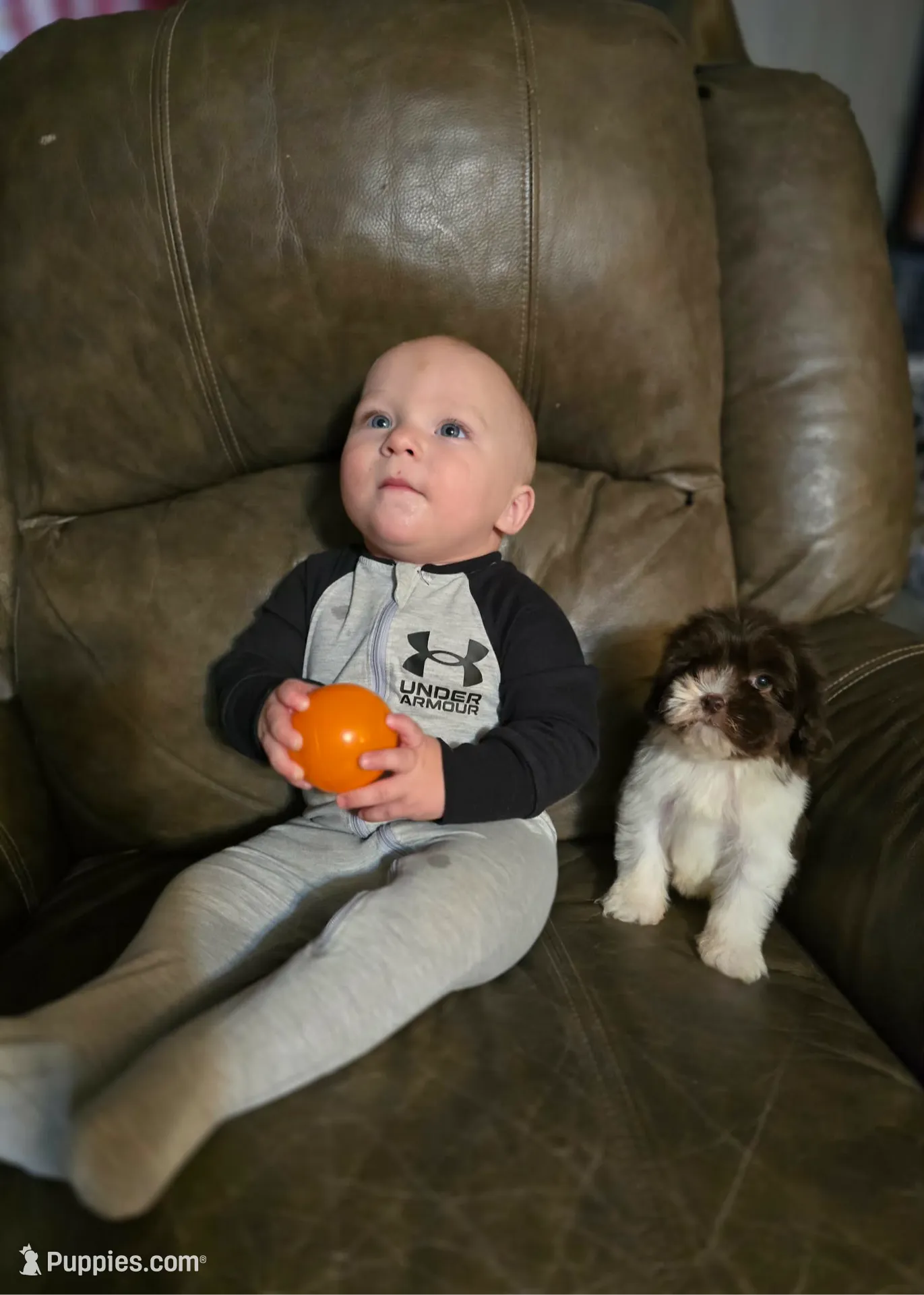 processed/c09281d4-0c1a-4528-800b-8f17df0df529/listing/c8a55647-7e97-49f8-afb1-ea8f887d76df/86c550e6-03ce-4166-a4c4-8541c6a6c86c