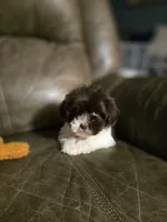 processed/c09281d4-0c1a-4528-800b-8f17df0df529/listing/c8a55647-7e97-49f8-afb1-ea8f887d76df/adf17f7e-f22c-4f26-b82a-50b350e7c0fa