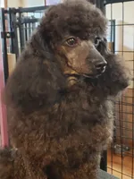 processed/c09c72b1-ed0f-4a5d-ba3d-c745b8a8ebf6/listing/f2a4ff44-9941-4ceb-be40-9c99ea2c6918/436df5c9-3680-4503-a8f1-716539bd03f9