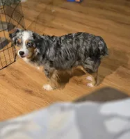 processed/c09c72b1-ed0f-4a5d-ba3d-c745b8a8ebf6/listing/f2a4ff44-9941-4ceb-be40-9c99ea2c6918/f80b02c2-db6a-4631-ba41-8b1310fb3cb4