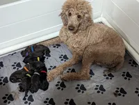 processed/c0aa6b19-bd39-4c88-a4a8-22272baae65a/facility/10202eb0-d892-484b-ab3c-3a7c9c53d183