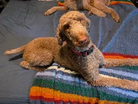 processed/c0aa6b19-bd39-4c88-a4a8-22272baae65a/facility/c330dfa8-4699-4ecc-8ba9-2ca7417213b5