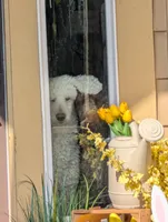 processed/c0aa6b19-bd39-4c88-a4a8-22272baae65a/facility/d840f177-a621-4266-9dda-634b7b8c347a