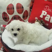 processed/c0b117dd-1e41-44e9-aca4-0b48a41b16d3/facility/24079982-318b-45d1-9e78-a09545468ecf