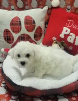 processed/c0b117dd-1e41-44e9-aca4-0b48a41b16d3/facility/24079982-318b-45d1-9e78-a09545468ecf