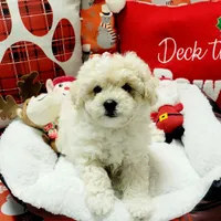 processed/c0b117dd-1e41-44e9-aca4-0b48a41b16d3/facility/4fd4a5bd-4931-488a-816e-978323d19e05