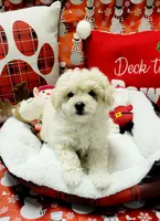 processed/c0b117dd-1e41-44e9-aca4-0b48a41b16d3/facility/4fd4a5bd-4931-488a-816e-978323d19e05