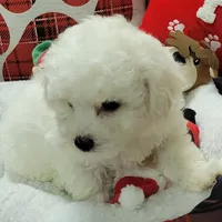 processed/c0b117dd-1e41-44e9-aca4-0b48a41b16d3/facility/7280439d-8a9b-4439-9e5a-cb3fd0b06165