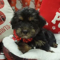 processed/c0b117dd-1e41-44e9-aca4-0b48a41b16d3/facility/817f8266-30f6-48dd-9844-a7db7849cdd0