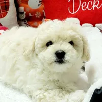 processed/c0b117dd-1e41-44e9-aca4-0b48a41b16d3/facility/d4db3193-ad41-42d2-9040-fc95e678d635