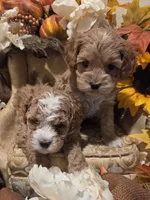 processed/c0b117dd-1e41-44e9-aca4-0b48a41b16d3/listing/699789ff-9d1c-4ee1-8603-10a412ea1892/5d439a8c-f1e7-48ad-9b6b-8e53a0cdbc19