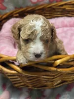 processed/c0b117dd-1e41-44e9-aca4-0b48a41b16d3/listing/699789ff-9d1c-4ee1-8603-10a412ea1892/c3bb5eb9-815d-404c-8a17-bc11170853ce