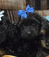 processed/c0b117dd-1e41-44e9-aca4-0b48a41b16d3/listing/cf2543d3-d54b-4363-9d6e-0af2c19e91c7/58400047-bc06-4aec-b959-18ade99ca694