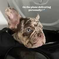 processed/c0b7dfae-c2a8-4c58-9583-dda04d5610db/facility/0abc262f-b11c-4239-a8aa-49b7937659e5