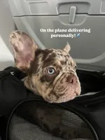 processed/c0b7dfae-c2a8-4c58-9583-dda04d5610db/facility/0abc262f-b11c-4239-a8aa-49b7937659e5