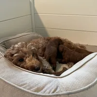 processed/c0b7dfae-c2a8-4c58-9583-dda04d5610db/facility/0ca82722-873c-416b-99cf-71124c0c01a8