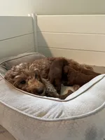 processed/c0b7dfae-c2a8-4c58-9583-dda04d5610db/facility/0ca82722-873c-416b-99cf-71124c0c01a8