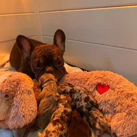 processed/c0b7dfae-c2a8-4c58-9583-dda04d5610db/facility/128fb208-e2fe-4f86-a85a-91bb8ab57e47