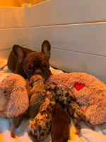 processed/c0b7dfae-c2a8-4c58-9583-dda04d5610db/facility/128fb208-e2fe-4f86-a85a-91bb8ab57e47