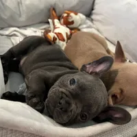 processed/c0b7dfae-c2a8-4c58-9583-dda04d5610db/facility/3b5e7a1d-d15a-4c58-97af-0a837d0bf772