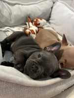 processed/c0b7dfae-c2a8-4c58-9583-dda04d5610db/facility/3b5e7a1d-d15a-4c58-97af-0a837d0bf772