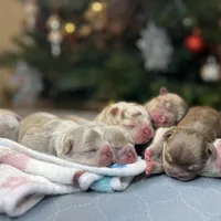 processed/c0b7dfae-c2a8-4c58-9583-dda04d5610db/facility/92e41f26-5fb1-4ecc-aab7-619cfe4d2616