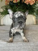 processed/c0b7dfae-c2a8-4c58-9583-dda04d5610db/listing/9f947040-7b56-445e-99cb-31e12d1090e0/19bdbd97-b34d-4886-9a29-863f87b4eb45