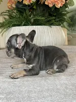 processed/c0b7dfae-c2a8-4c58-9583-dda04d5610db/listing/9f947040-7b56-445e-99cb-31e12d1090e0/36a46413-eaaa-4e35-a7ea-193e3e66051e