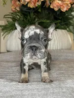 processed/c0b7dfae-c2a8-4c58-9583-dda04d5610db/listing/9f947040-7b56-445e-99cb-31e12d1090e0/79a203b8-3b50-4426-af60-461798758f65