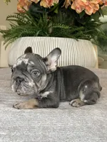 processed/c0b7dfae-c2a8-4c58-9583-dda04d5610db/listing/9f947040-7b56-445e-99cb-31e12d1090e0/c860be18-9607-4f47-bf58-d643b8e1e707