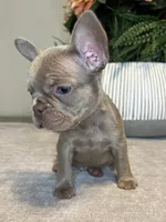 processed/c0b7dfae-c2a8-4c58-9583-dda04d5610db/listing/f1da9832-c6ee-440d-893b-01d027859d8f/133ad799-a16d-4f03-bd34-4df6508be08a