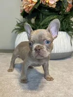 processed/c0b7dfae-c2a8-4c58-9583-dda04d5610db/listing/f1da9832-c6ee-440d-893b-01d027859d8f/5cc01836-7bd1-4373-937b-36546729a23f