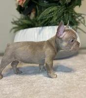 processed/c0b7dfae-c2a8-4c58-9583-dda04d5610db/listing/f1da9832-c6ee-440d-893b-01d027859d8f/98eb93eb-7547-4e52-b94b-aafc1a5a0500