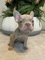 processed/c0b7dfae-c2a8-4c58-9583-dda04d5610db/listing/f1da9832-c6ee-440d-893b-01d027859d8f/daaab3c6-f257-4350-ae8f-5bb3dd1d4596