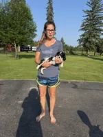 Conway, a male Cavalier King Charles Spaniel for sale in Remer, MN – 9 of 10