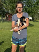 Winky, a male Cavalier King Charles Spaniel for sale in Remer, MN – 6 of 10