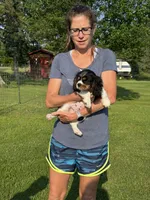 Winky, a male Cavalier King Charles Spaniel for sale in Remer, MN – 1 of 10