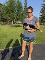 Cowboy , a male Cavalier King Charles Spaniel for sale in Remer, MN – 8 of 10